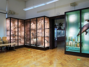 prirodoslovni muzej ljubljana 7-2023 9121